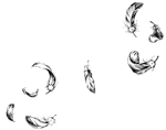 feather