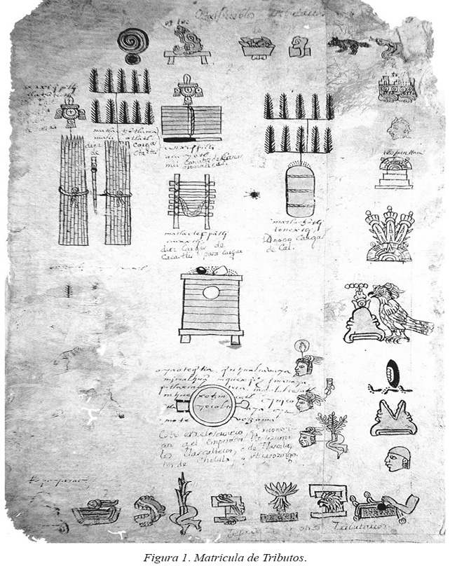 1.matriculadetributos.jpg