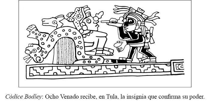 3.%20bodley%208venado.jpg