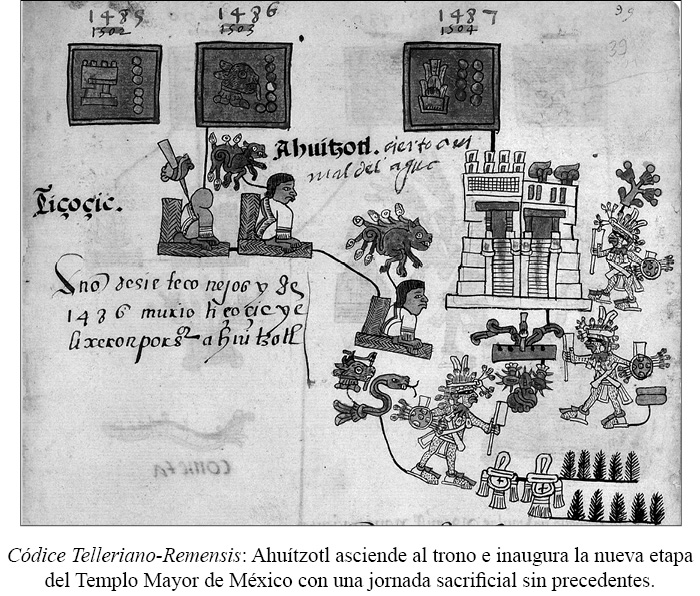 7.ahuizotl.jpg