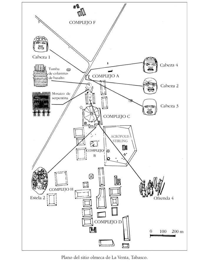 fig7laventacap1.jpg